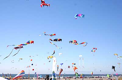 Ba Ria-Vung Tau to host int’l kite festival 