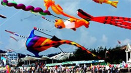 Vung Tau hosts national kite flying competition 