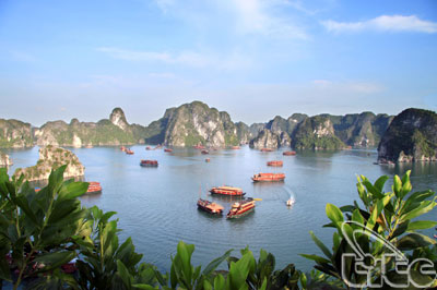 Join Carnival Ha Long and save some money
