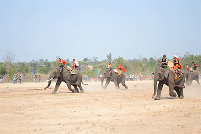Dak Lak elephant race attracts tourists