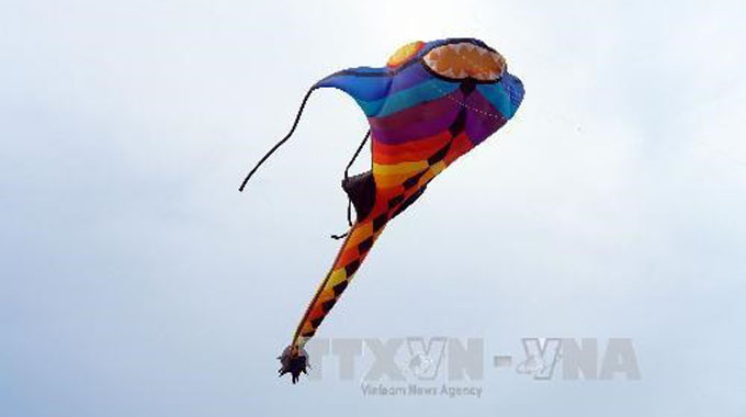 Viet Nam Art Kite Festival opens in Vung Tau