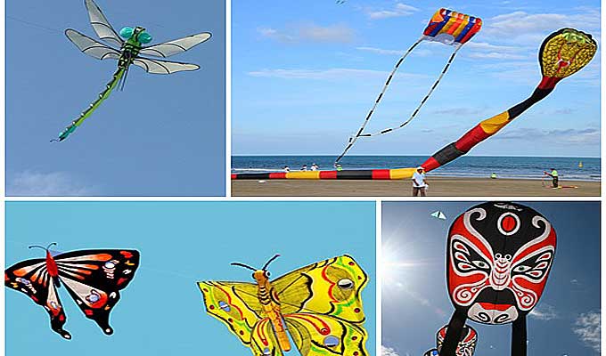 Giant kites soar up into Hung Yen province’s sky