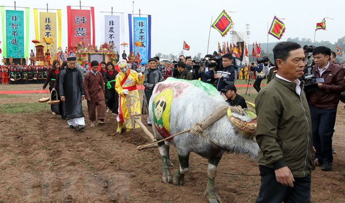 Annual ploughing festival opens in Ha Nam Province
