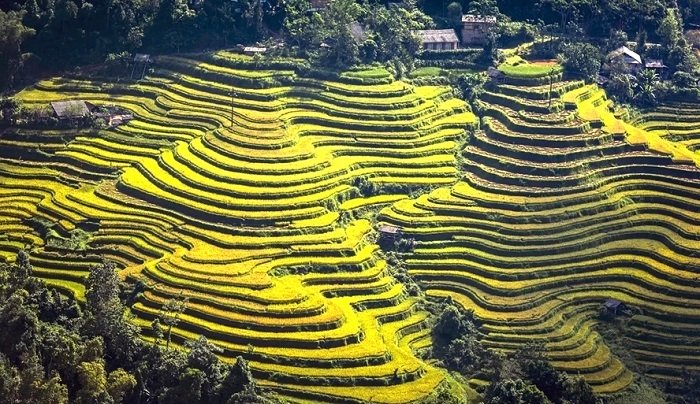 Culture and tourism week to highlight terraced rice fields in Ha Giang