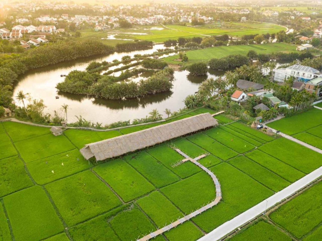 Photo exhibition to be held on rice field in Hoi An
