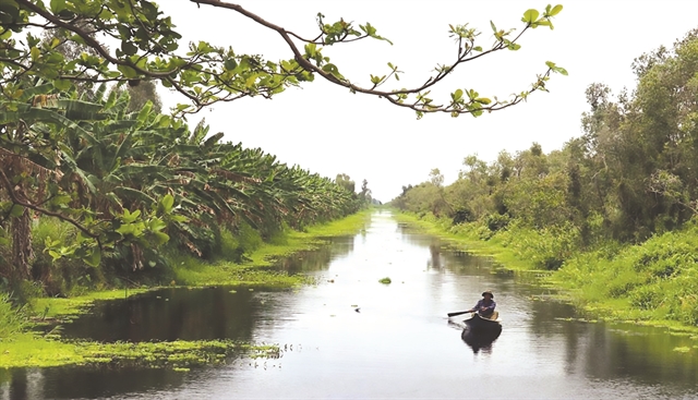 U Minh Thuong wetland reopens to eco-tourism after long hiatus