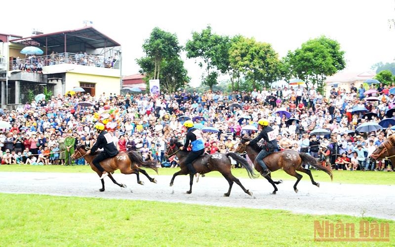 Horse race on the ‘White Plateau’ of Bac Ha