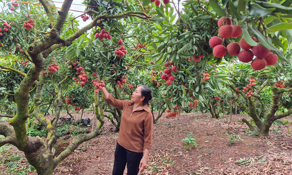 Đánh thức tiềm năng du lịch của tỉnh Bắc Giang