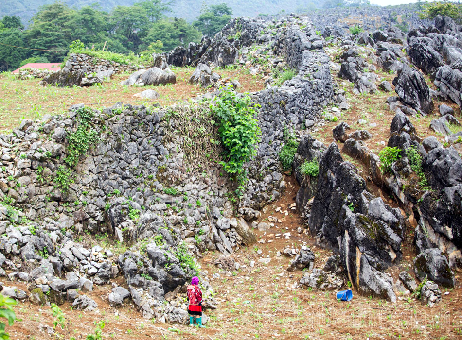 The unique stone fences of the H’Mong in Dien Bien