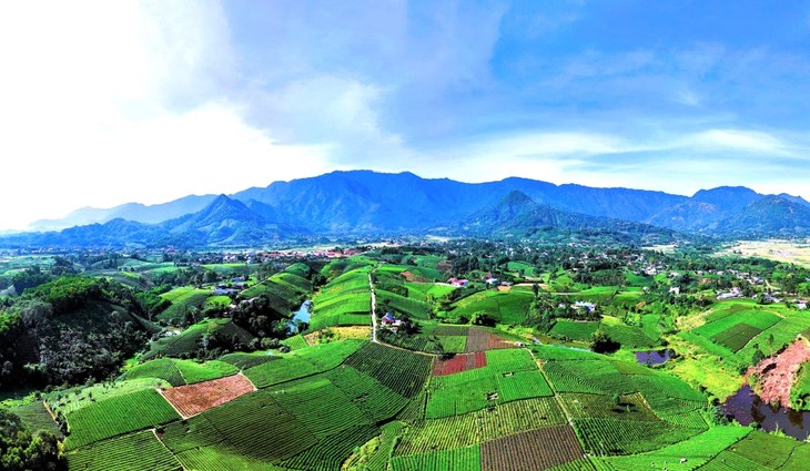 Tan Cuong (Thai Nguyen) - land of beautiful tea hills