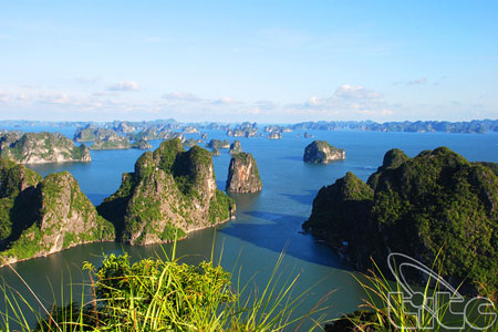 Activities to mark Ha Long Bay’s recognition as a World Natural Heritage
