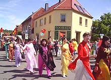 Vietnamese attend cultural festival in Germany 