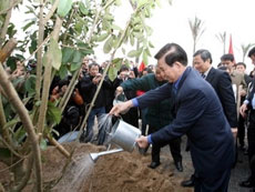 President attends tree planting, ploughing festivals