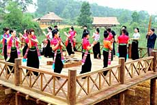 Vietnam calls for investment in ethnic group village project 