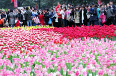 Spring festival to stir up capital 