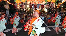 HCM City to host Vietnam-Japan culture festival 2013 