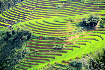 The culture, sports and tourism week of Mu Cang Chai terraced fields scenic site 2012