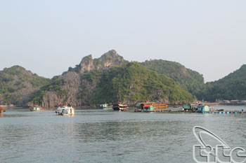 Cat Ba Tourism Year 2013 launched 