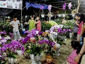 HCM City opens Spring Flower Festival