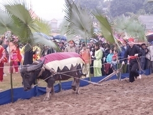 Tay ethnic people's festival in Tuyen Quang