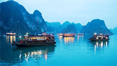  1,200 int'l cruise tourists visit Ha Long 