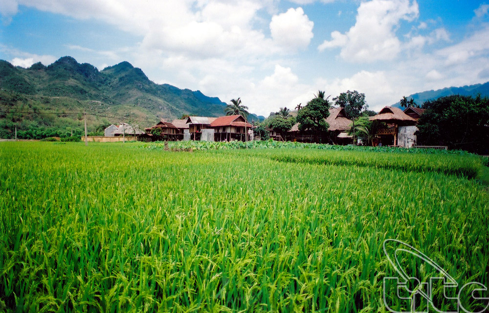 Hoa Binh